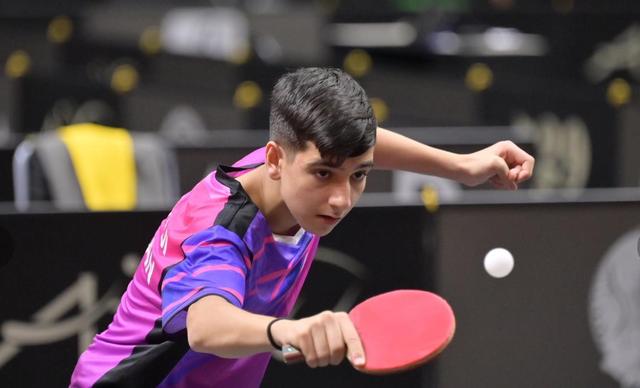 匈牙利体操选手状态火热,连夺金牌 匈牙利体操选手状态火热,连夺金牌