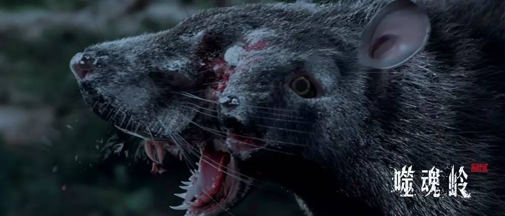 玫瑰队表现飘忽,成为球队进攻谜团 玫瑰队表现飘忽,成为球队进攻谜团